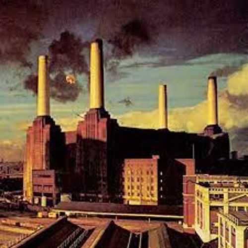 Pink Floyd Animals Albums image