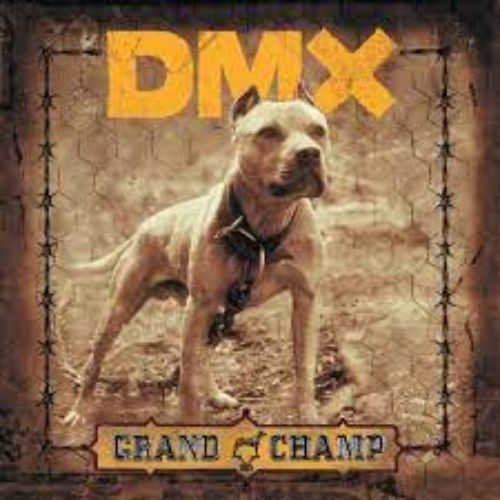 DMX Album Grand Champ image