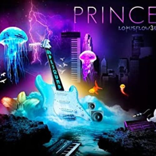 Prince Albums MPLSound image