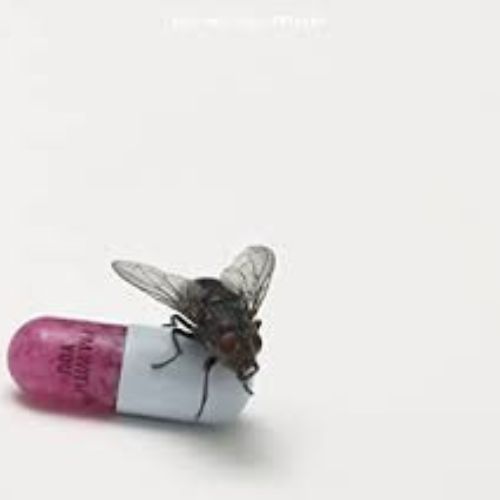 Red Hot Chili Peppers Album I'm with You image