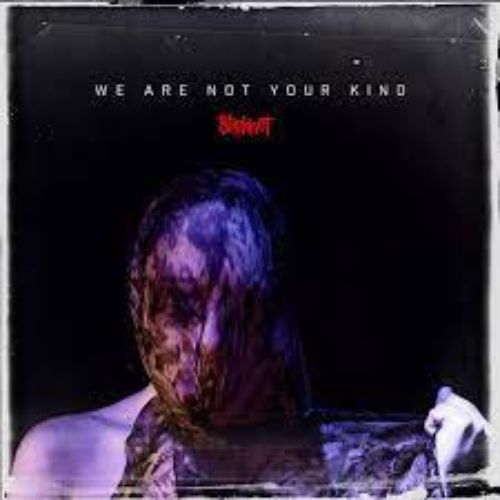 Slipknot Albums We Are Not Your Kind image