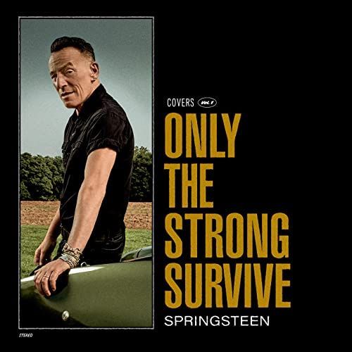 brceu springsteen Only the Strong Survive albums image
