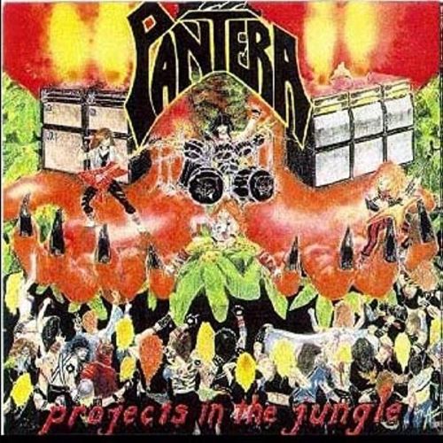 Pantera Albums Projects in the Jungle image