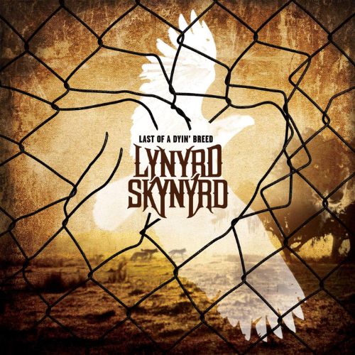 Lynyrd Skynyrd Album Last of a Dyin' Breed image