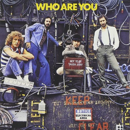 The Who Album Who Are You image