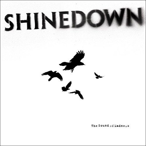 shinedown Album The Sound of Madness image