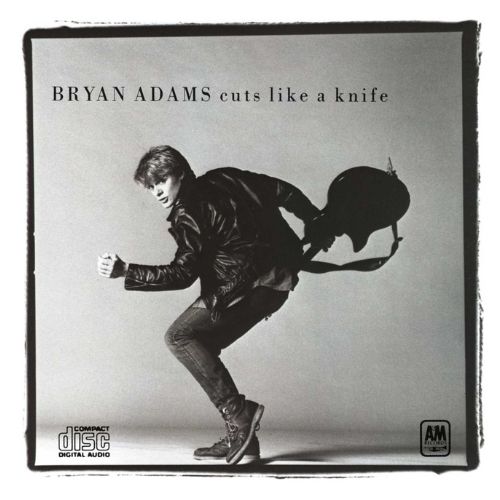 Bryan Adams Album Cuts Like a Knife image