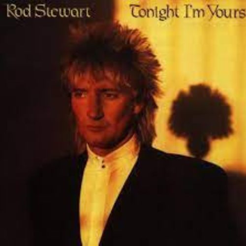Rod Stewart Album Tonight I'm Yours image