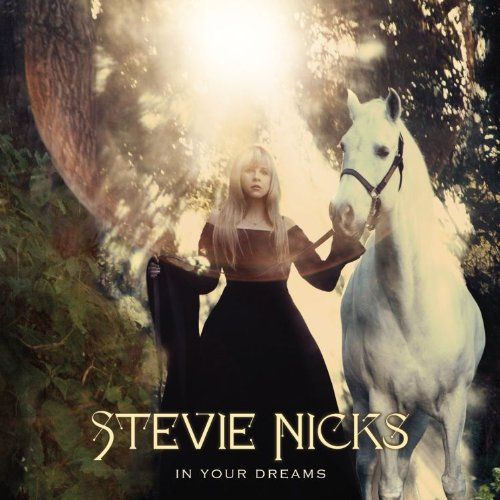 Stevie Nicks Album In Your Dreams image