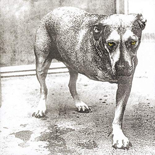 Alice In Chains Album Alice in Chains image