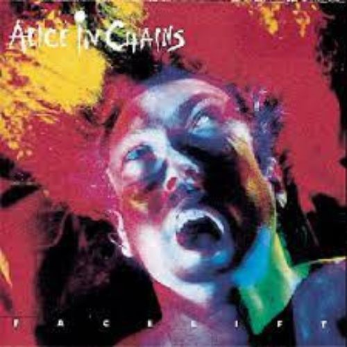 Alice In Chains Album Facelift image