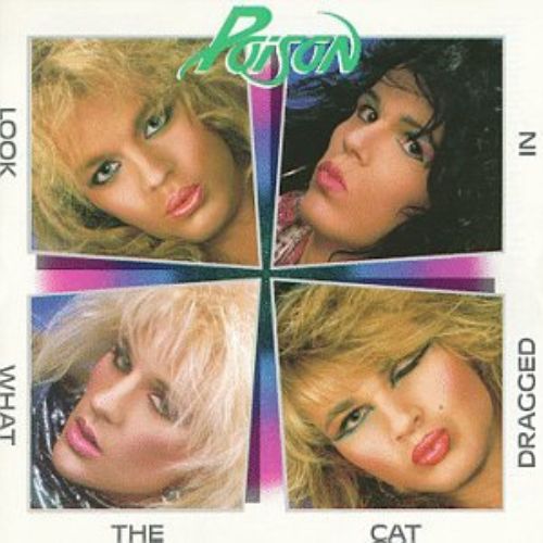 Poison Album Look What the Cat Dragged In image