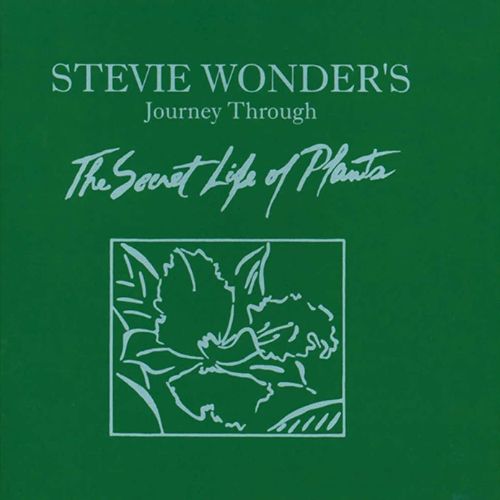 Stevie Wonder Album Stevie Wonder's Journey Through The Secret Life of Plants image
