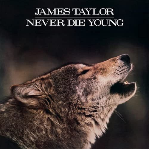 James Taylor Album Never Die Young image