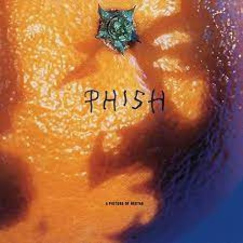 Phish A Picture of Nectar Album image