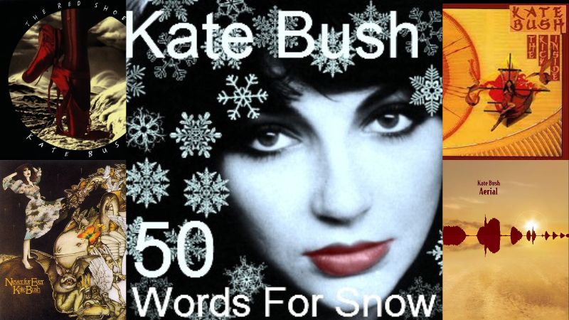 Kate Bush Album image