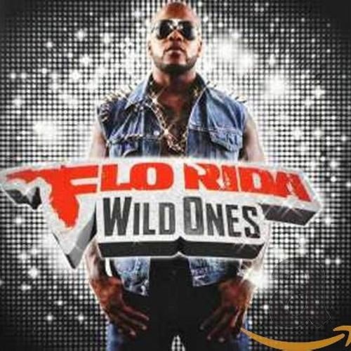 Flo Rida Wild Ones Album image